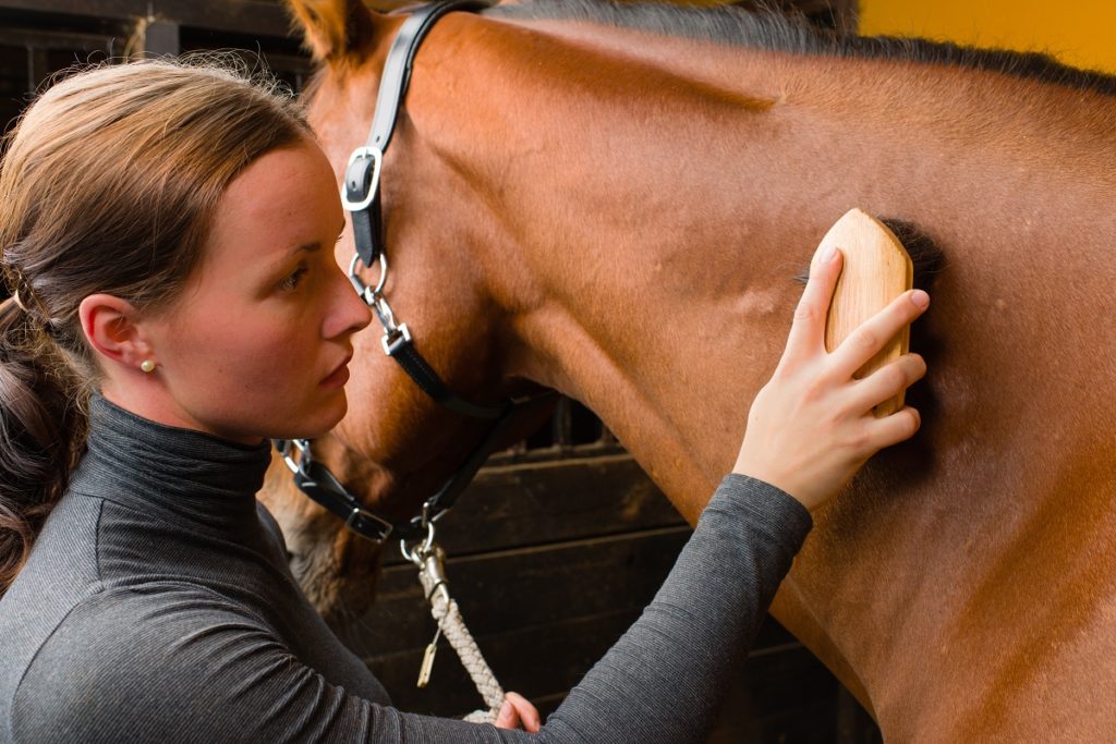 woman grooming her horse