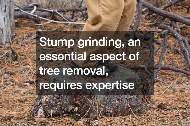A Guide to Stump Grinding