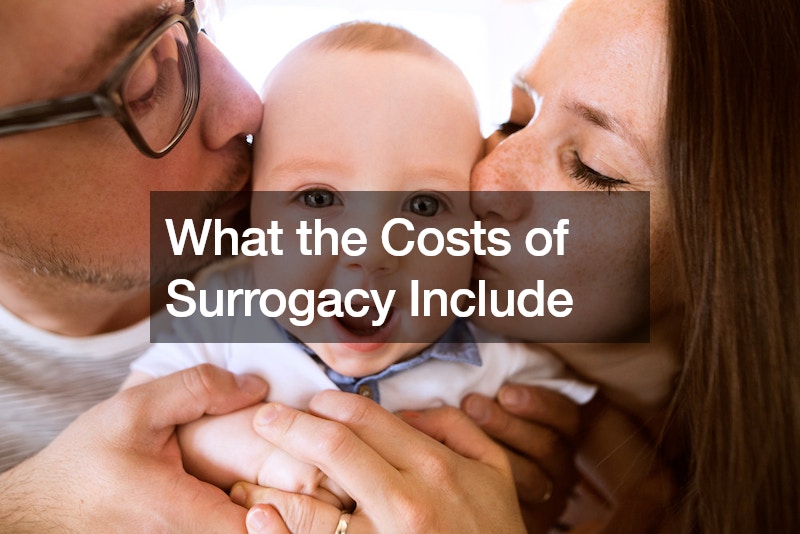 What the Costs of Surrogacy Include