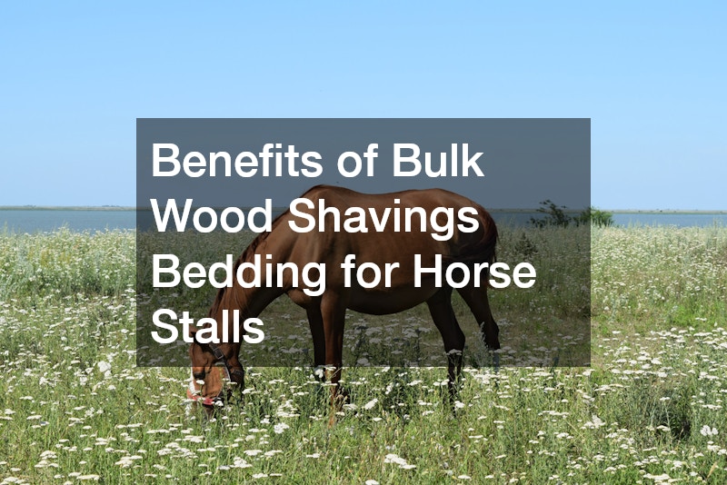 Benefits of Bulk Wood Shavings Bedding for Horse Stalls